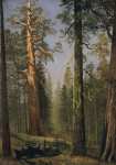 Albert Bierstadt - The Grizzly Giant Sequoia